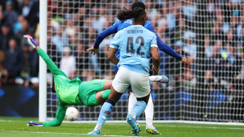 The FA