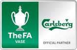 The FA Vase Logo