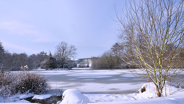 St. George's Park stands above the frozen lake