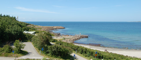 The Beach, by Mark Noble