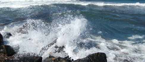 The Sea