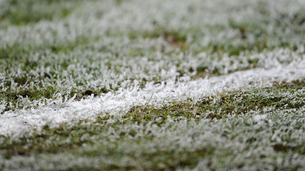 Frozen Pitch
