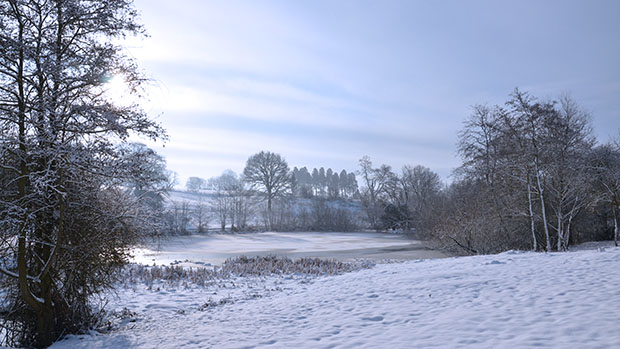 The lake