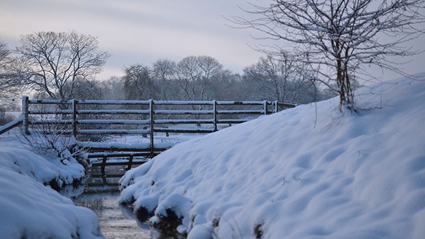 A snowy scene at St. George's Park