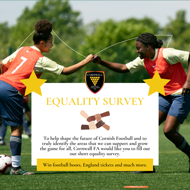 CFA Equality Survey