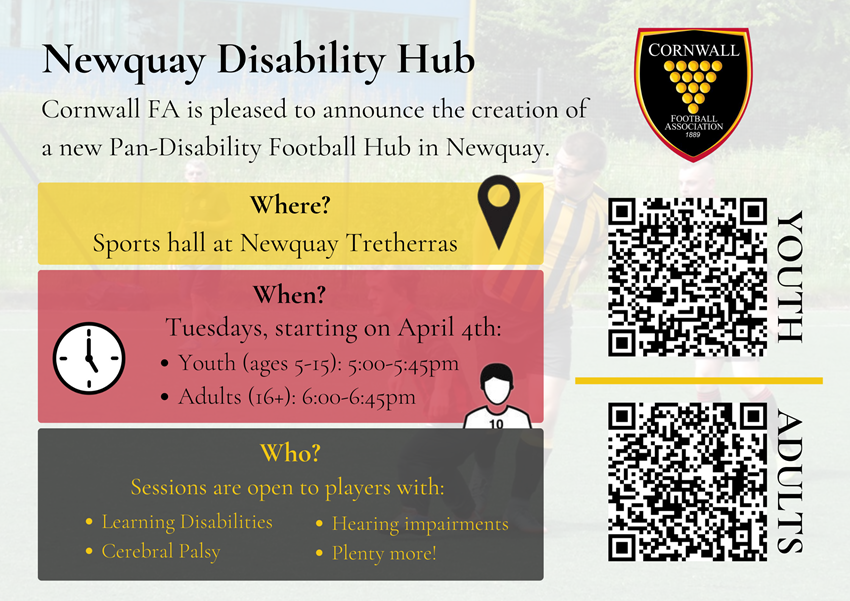Newquay disability hub poster