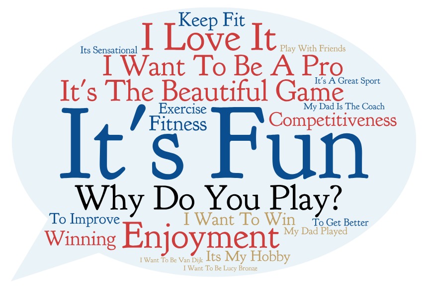 Why Do You Play?