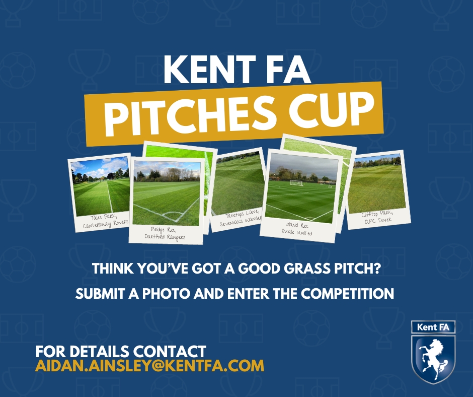 pitches cup