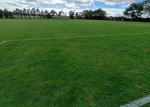 grass pitch