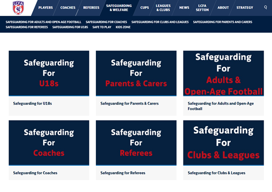 lcfa safeguarding website