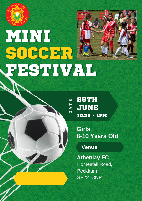Tandridge Mini Soccer Girls Festival