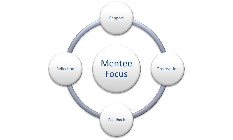 Mentor Programme Structure