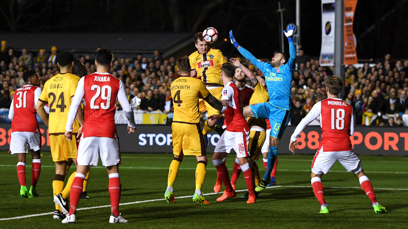 The FA