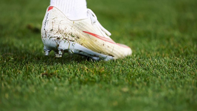 The FA
