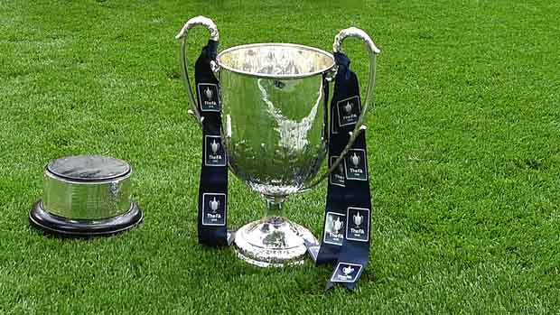 The FA Vase trophy on the pitch at Wembley