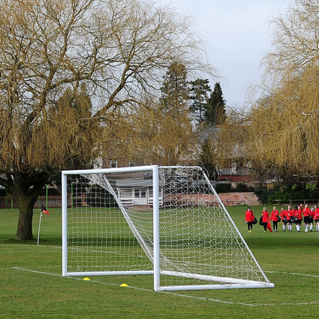 Survive. Revive. Thrive.